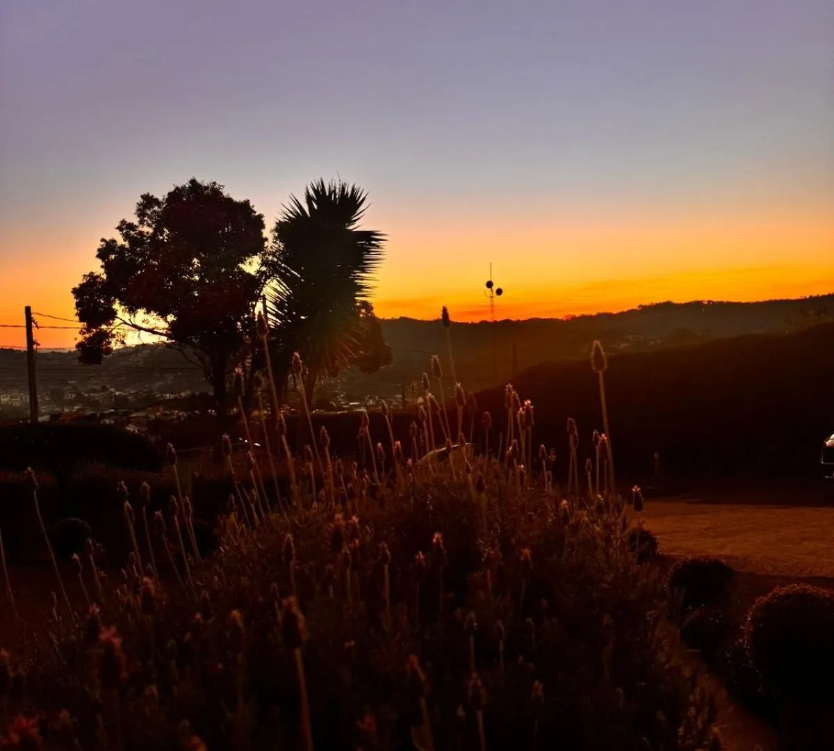 Inn Pousada Araucaria Village Campos do Jordao